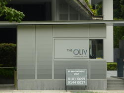 The Oliv (D10), Apartment #65747952